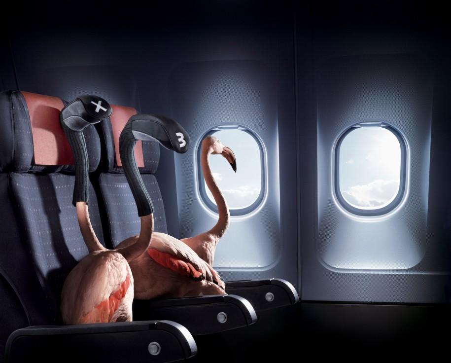 06 - SAA Flamingo