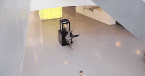 Schau’ mir NICHT in die Augen, Kleines!