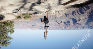 Bildagentur 2.0: die Online-Plattform Platnum