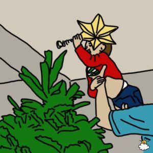 Weihnachtsbaum_Stern