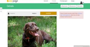 elopage im Test: Digitale Produkte auf den eigenen Portalen verkaufen