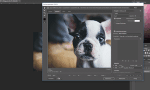 Regeln für gutes SEO-Design: Was muss man hinsichtlich SEO Web Design / Seitenarchitektur beachten?