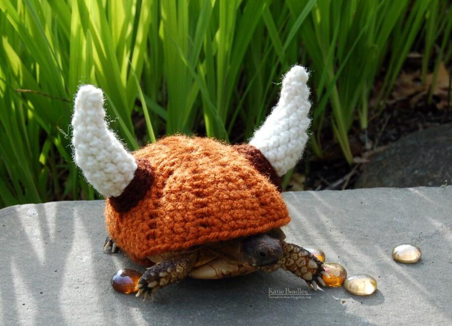 <span class="entry-title-primary">Kleidung für Schildkröten?</span> <span class="entry-subtitle">Es gibt nichts, das es nicht gibt!</span>