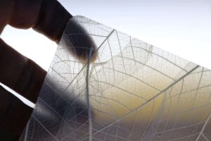 interzum award: intelligent material & design 2017 Die Preisträger sind gekürt "Best of the Best"