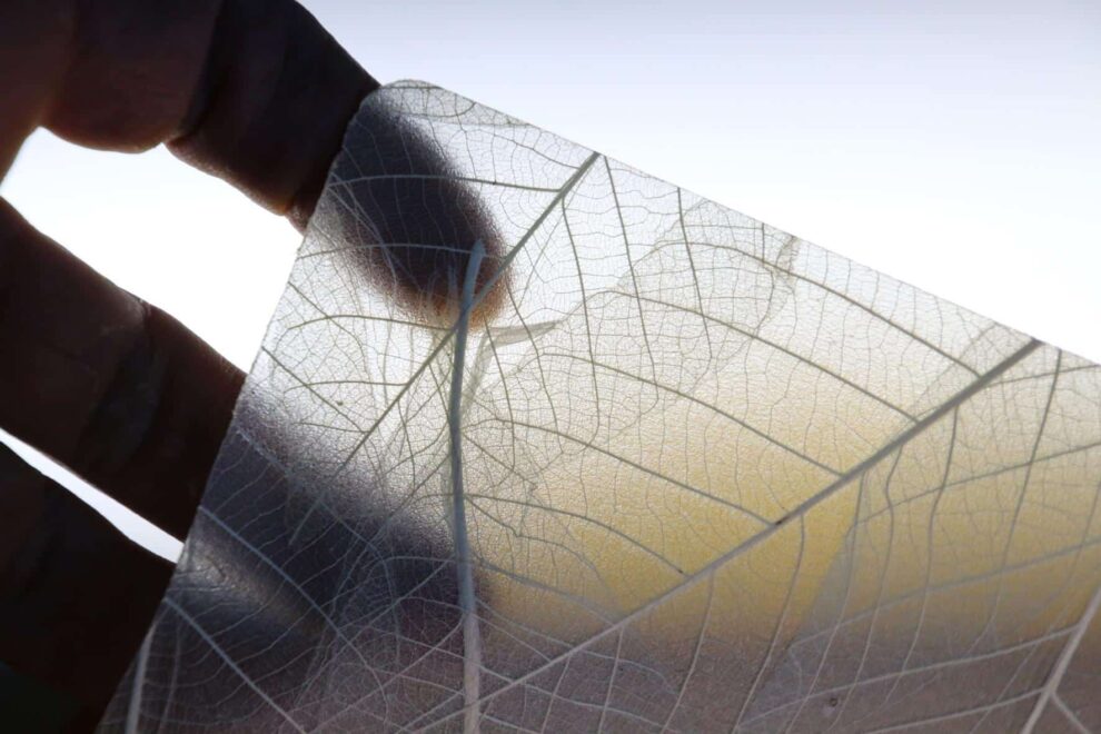 <span class="entry-title-primary">interzum award: intelligent material & design 2017</span> <span class="entry-subtitle">Die Preisträger sind gekürt "Best of the Best"</span>