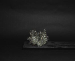 David Lehmann Die "Ephemere" für mich ein Memento Mori