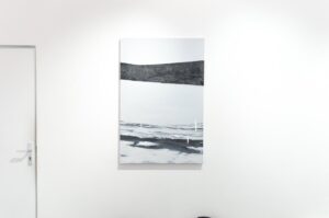 “Wild Type” Fonts Special Offer