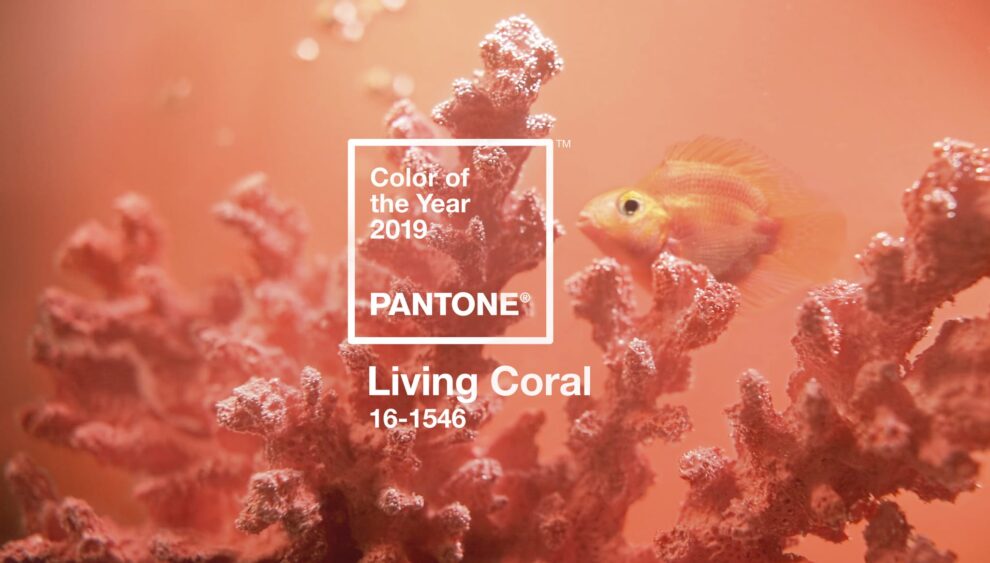 Pantone Color of the Year 2019
