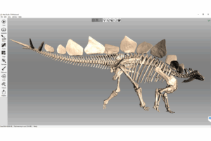 Stegosaurus 3D-Modell