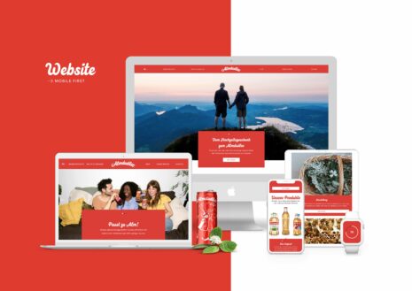 Website Almdudler