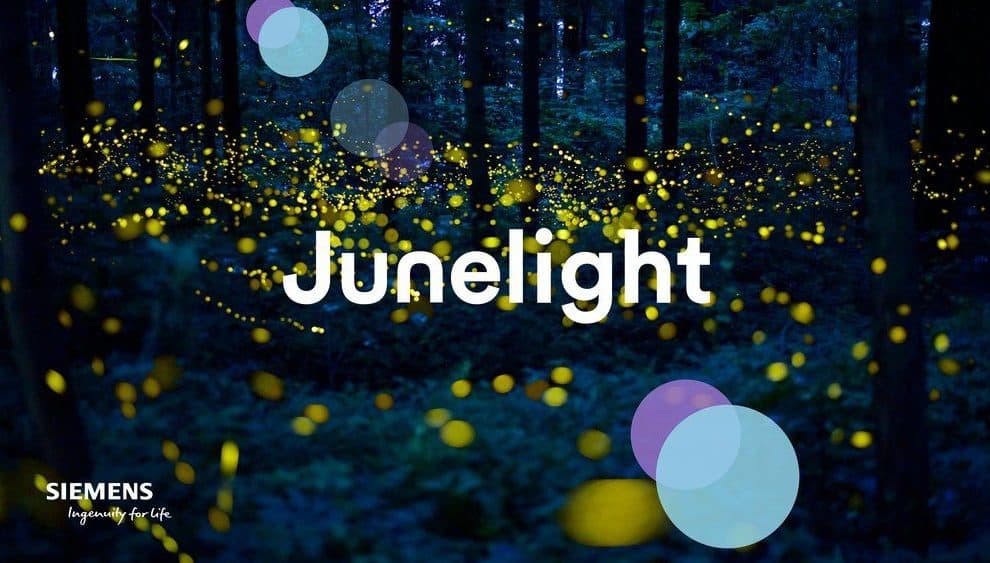 Junelight Smart