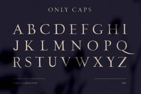Loki – Sans Serif Brush