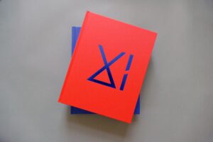 The next decade starts now: „BLICKFANG – Deutschlands beste Fotografen“ Band 11 erschienen 624 Seiten, rund 200 FotografenInnen, 2 Cover-Farbvarianten, 4 kg Bildband