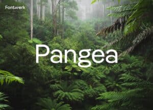 Pangea Wie kann eine Schrift die Welt verbessern?
