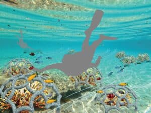 iF DESIGN STUDENT AWARD 2023 Last Call für Designstudierende