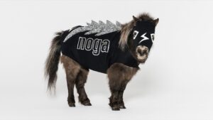 Kreative Köpfe Teil 20: Stefan Amtmann Co-Gründer & Executive CD von noga, …