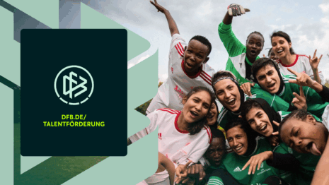 Deutscher Fußball-Bund Rebranding