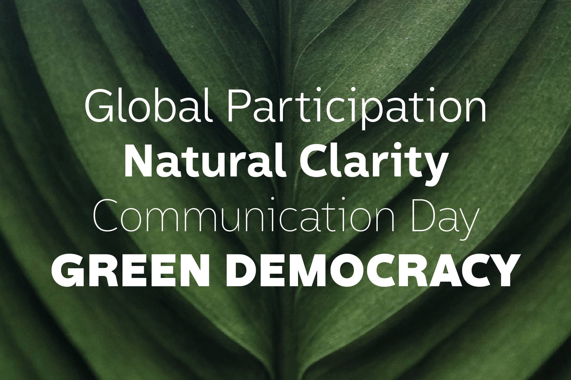 Vier Zeilen in unterschiedlichen Conviva Schnitten vor grünem Blatt, darunter Green Democracy