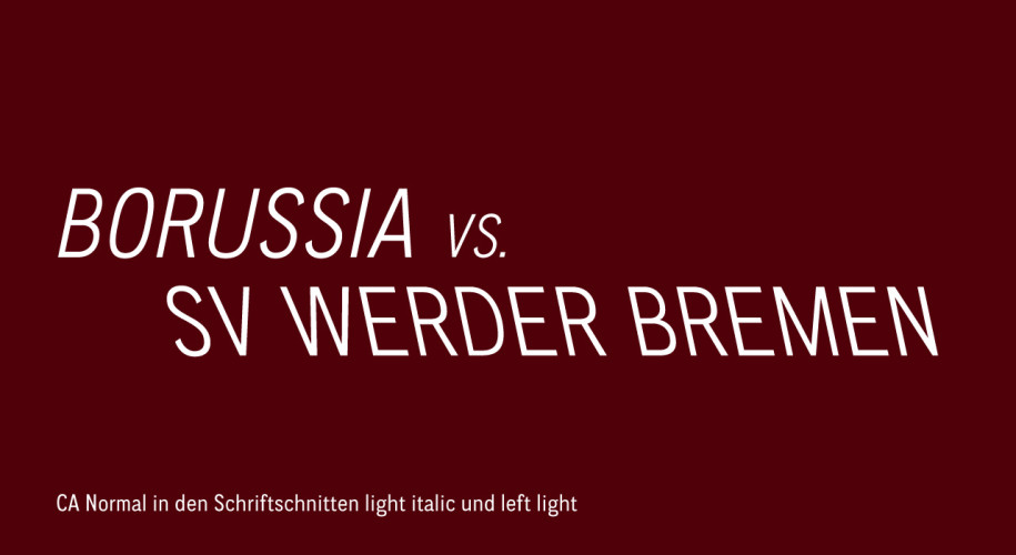 08_borussia_duesseldorf_typografie.jpg